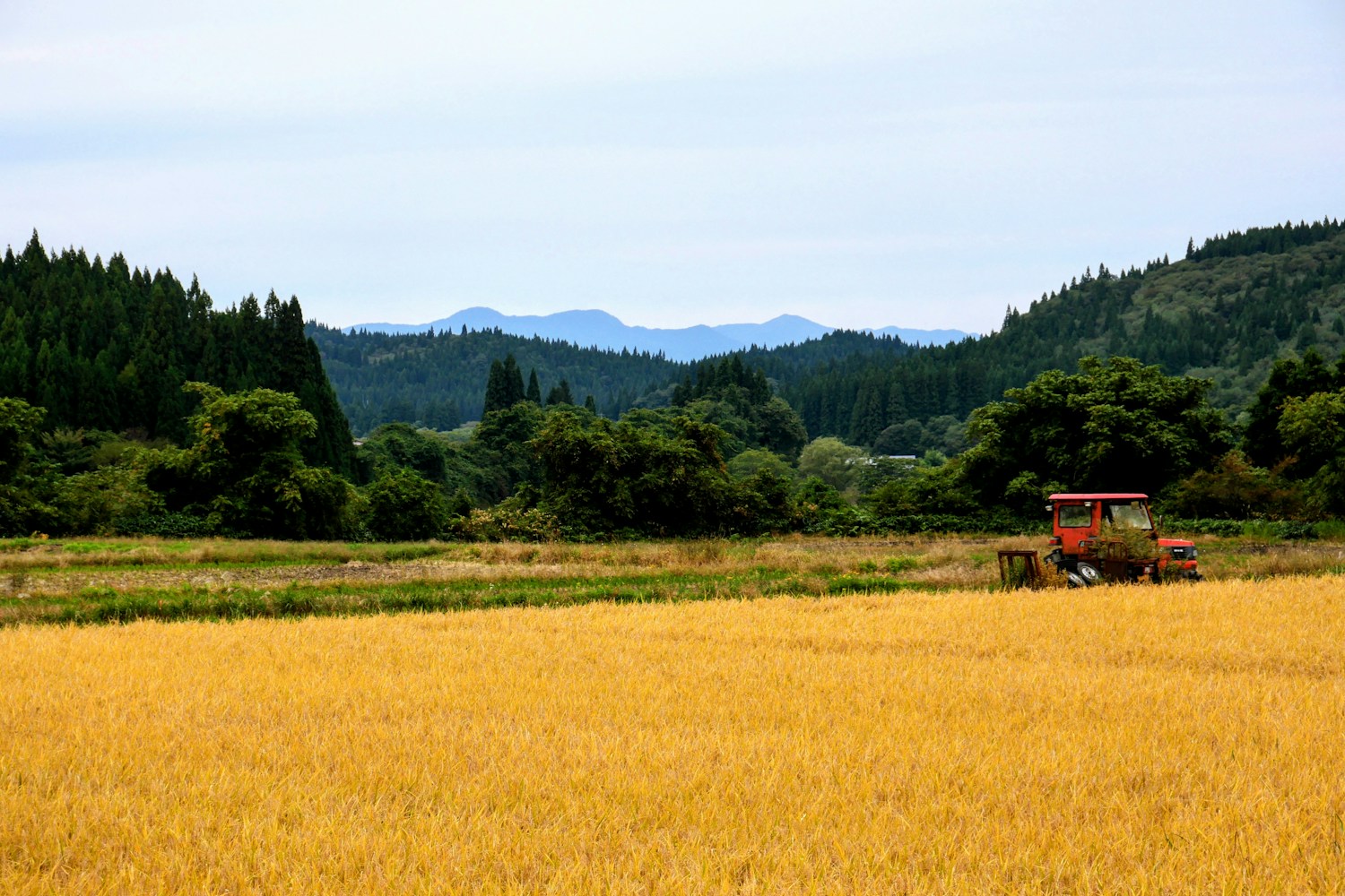 滋賀県で農地を相続するときの手続き｜農地法届出と納税猶予を解説