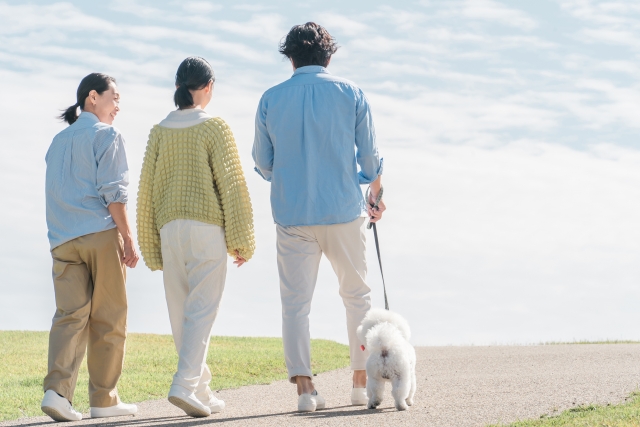 相続人に未成年の子がいるとき｜親が代理できない「特別代理人」の選任と、相続税の未成年者控除